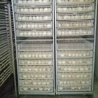 30240 Large Capacity Supply English Market Hatching Machine Egg Incubator