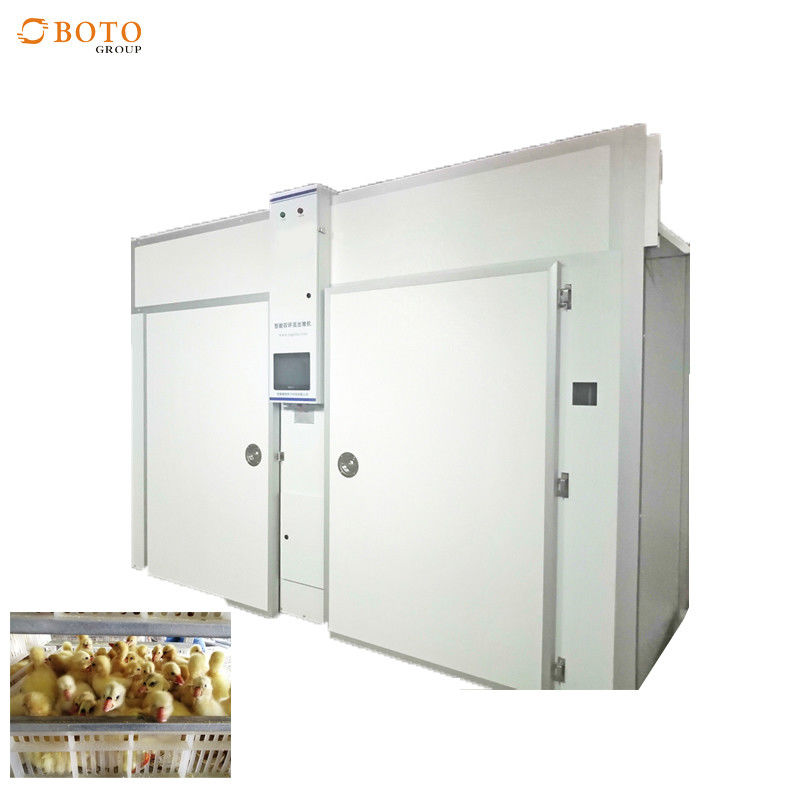 Commercial Use 30240 Capacity Chicken Hatching Machine Infant Baby Hatching Equipment